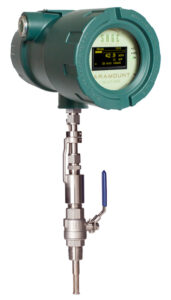paramount thermal mass flow meter 